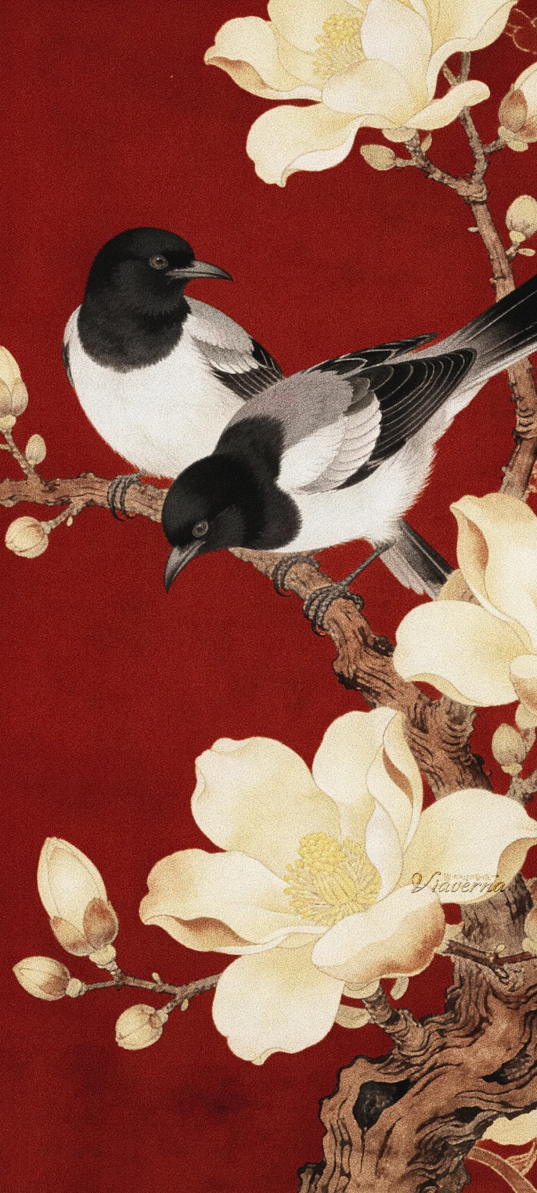 古壁｜春芳鹊并枝