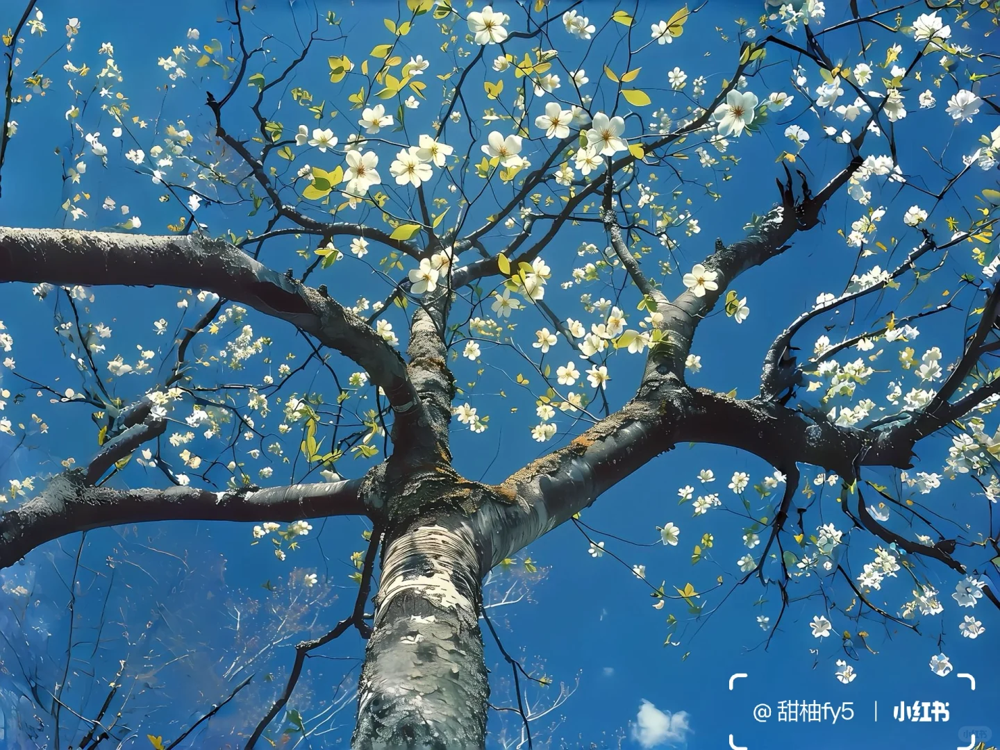 一组养眼ipad壁纸