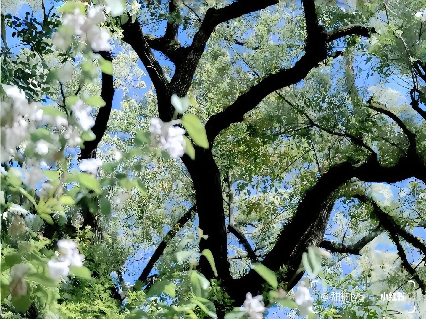 一组养眼ipad壁纸