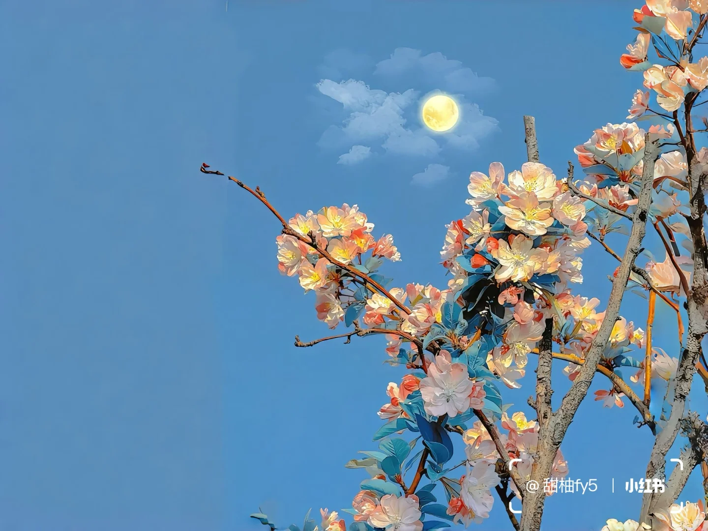 一组养眼ipad壁纸