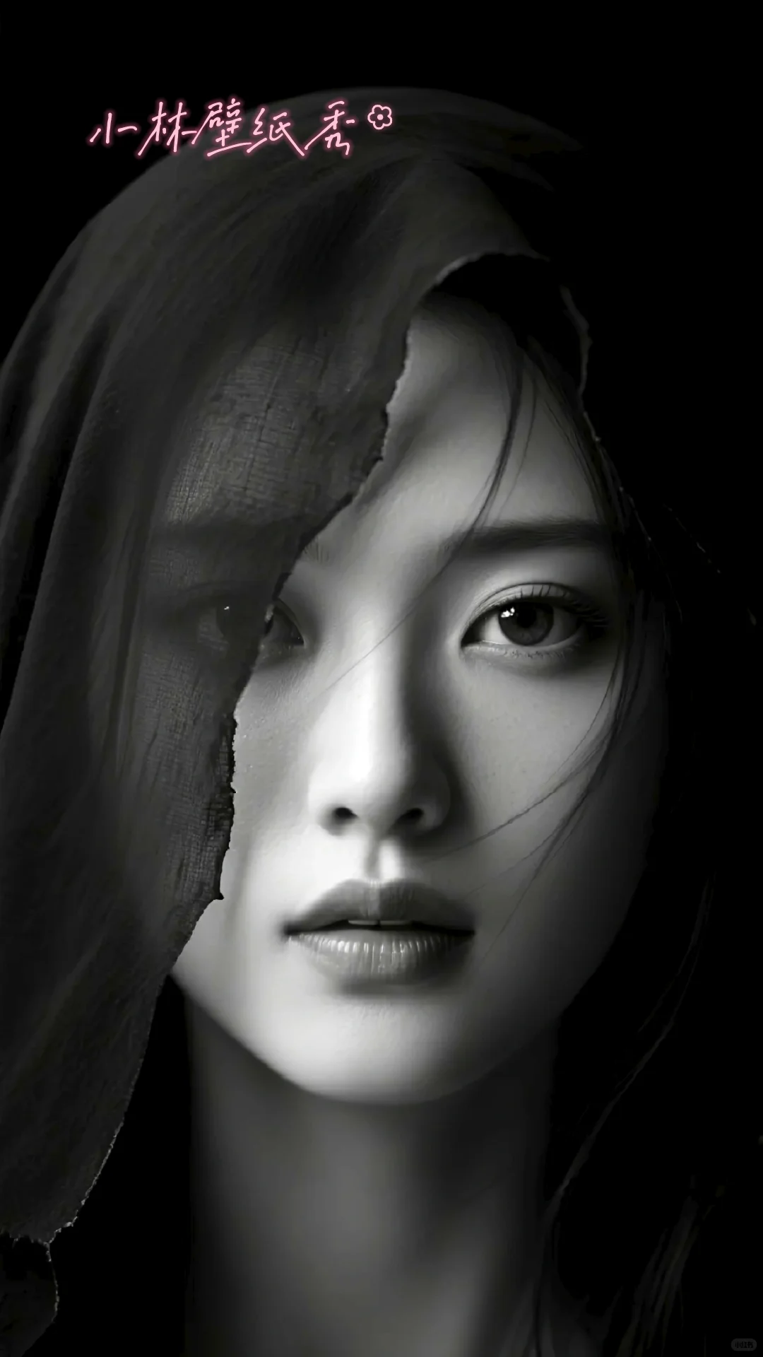 黑白色调的魅力瞬间 手机壁纸