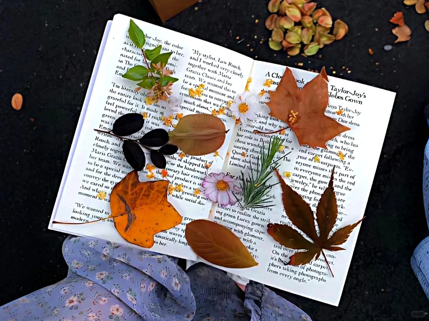 𝑺𝒉𝒂𝒓𝒆｜ipad电脑壁纸