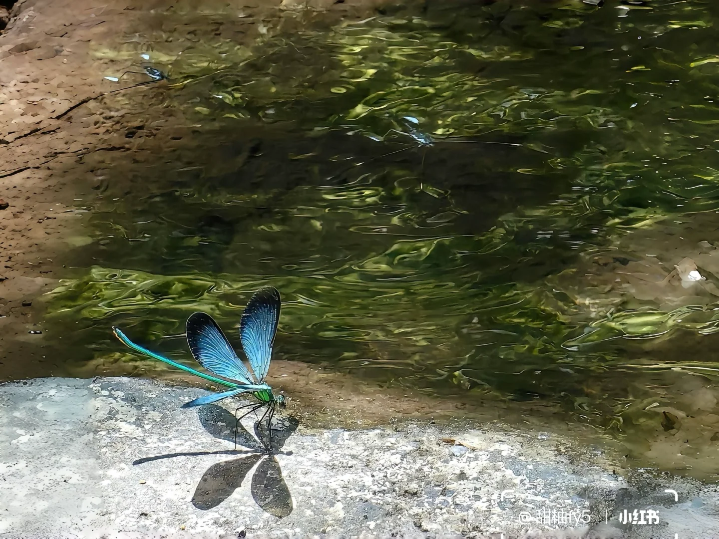 一组养眼ipad壁纸