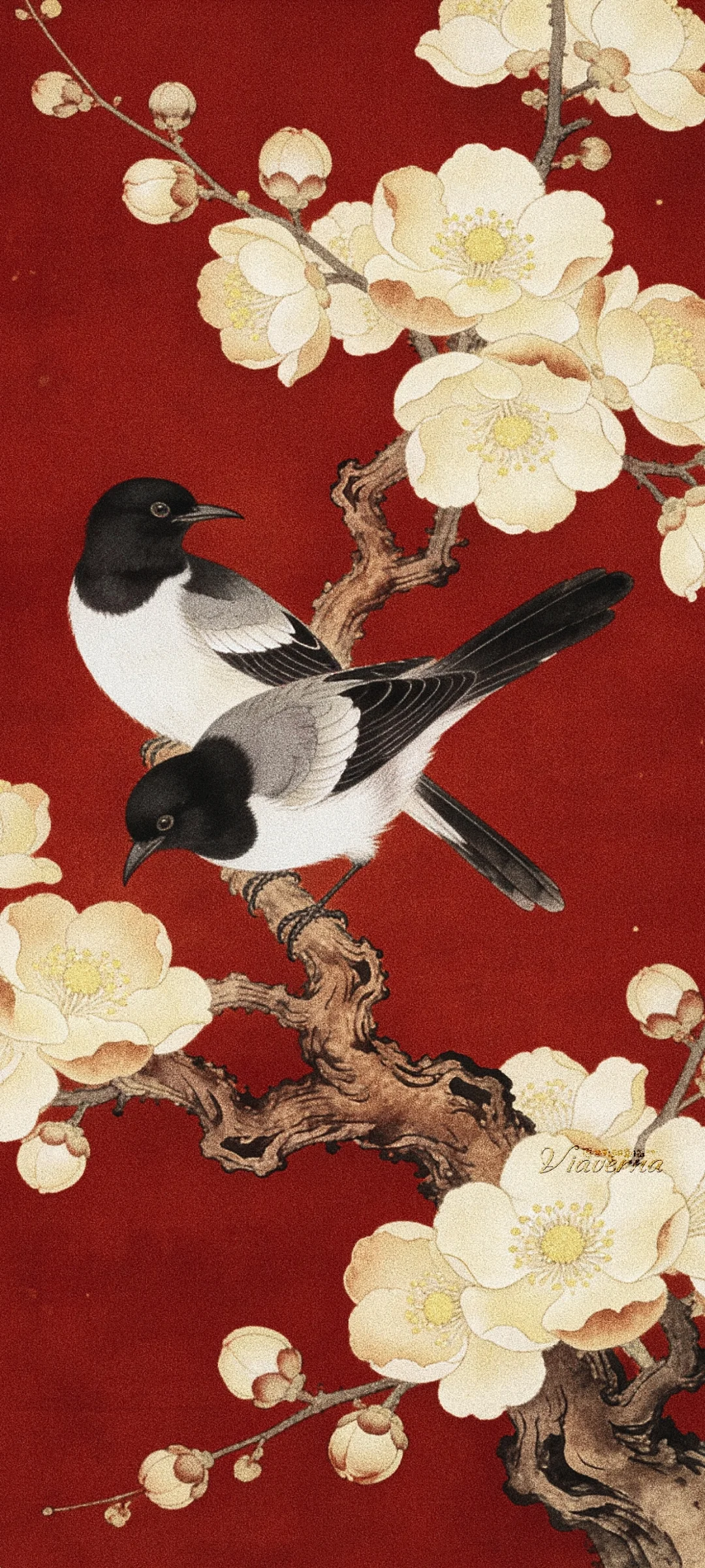 古壁｜春芳鹊并枝