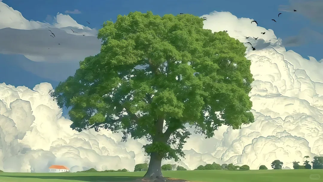 一组充满生命力的4K高清电脑壁纸