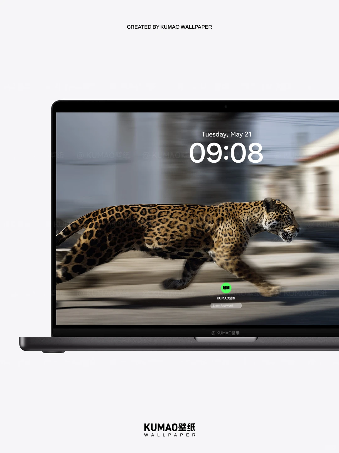 疾风豹影｜‌野性张力拉满到爆｜动物壁纸