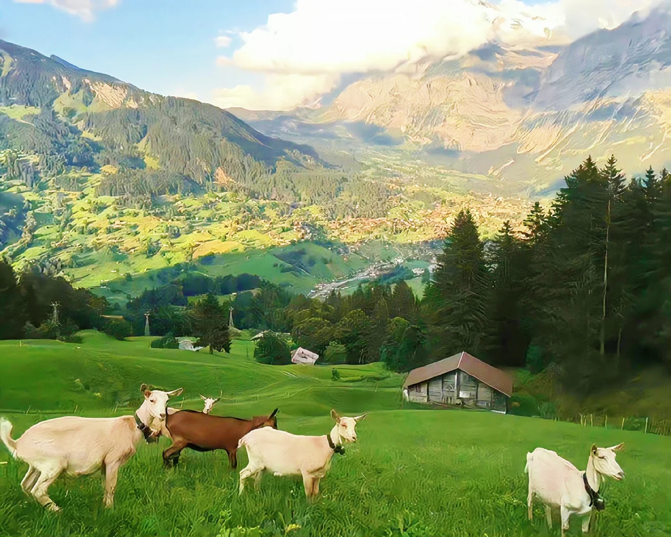 iPad·电脑壁纸｜一键开启美好🎋