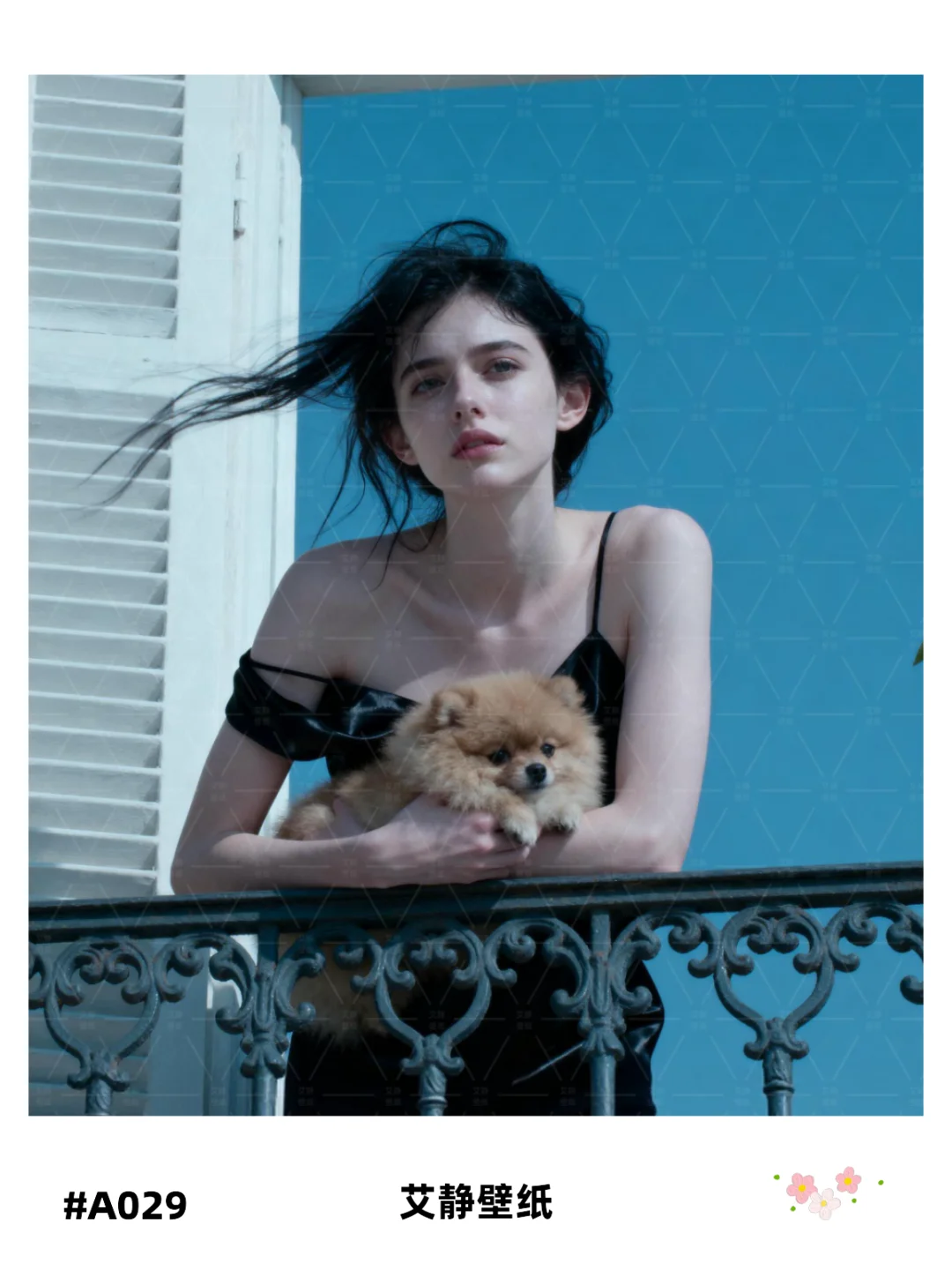 超清壁纸来啦～