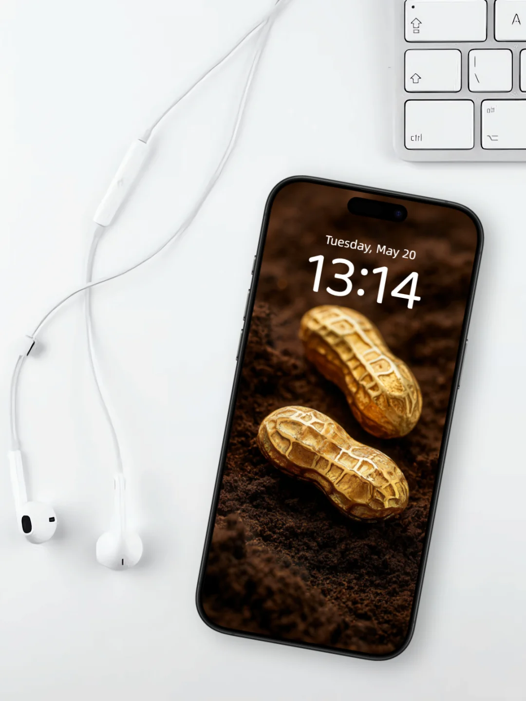 暴富壁纸 l 金色花生