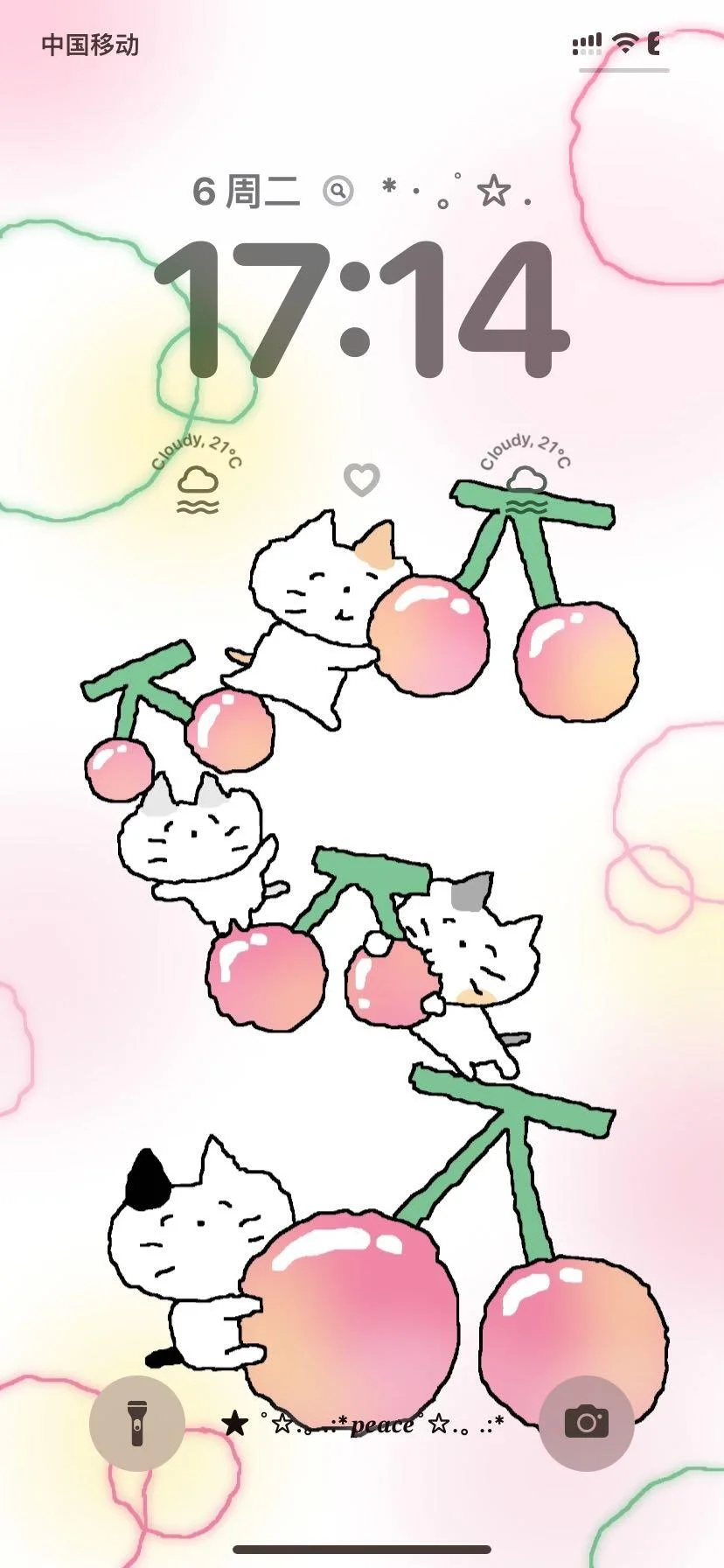 ‧₊˚☆ cute kitten˙ ϖ˙ ☆‧₊˚🩵🩵