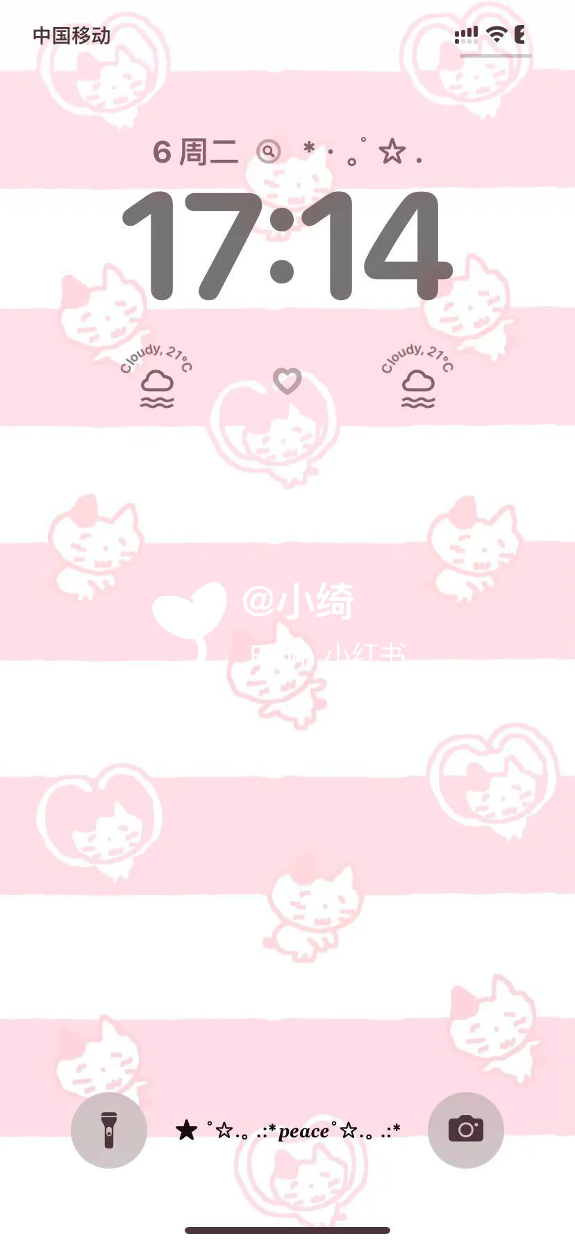 ‧₊˚☆ cute kitten˙ ϖ˙ ☆‧₊˚