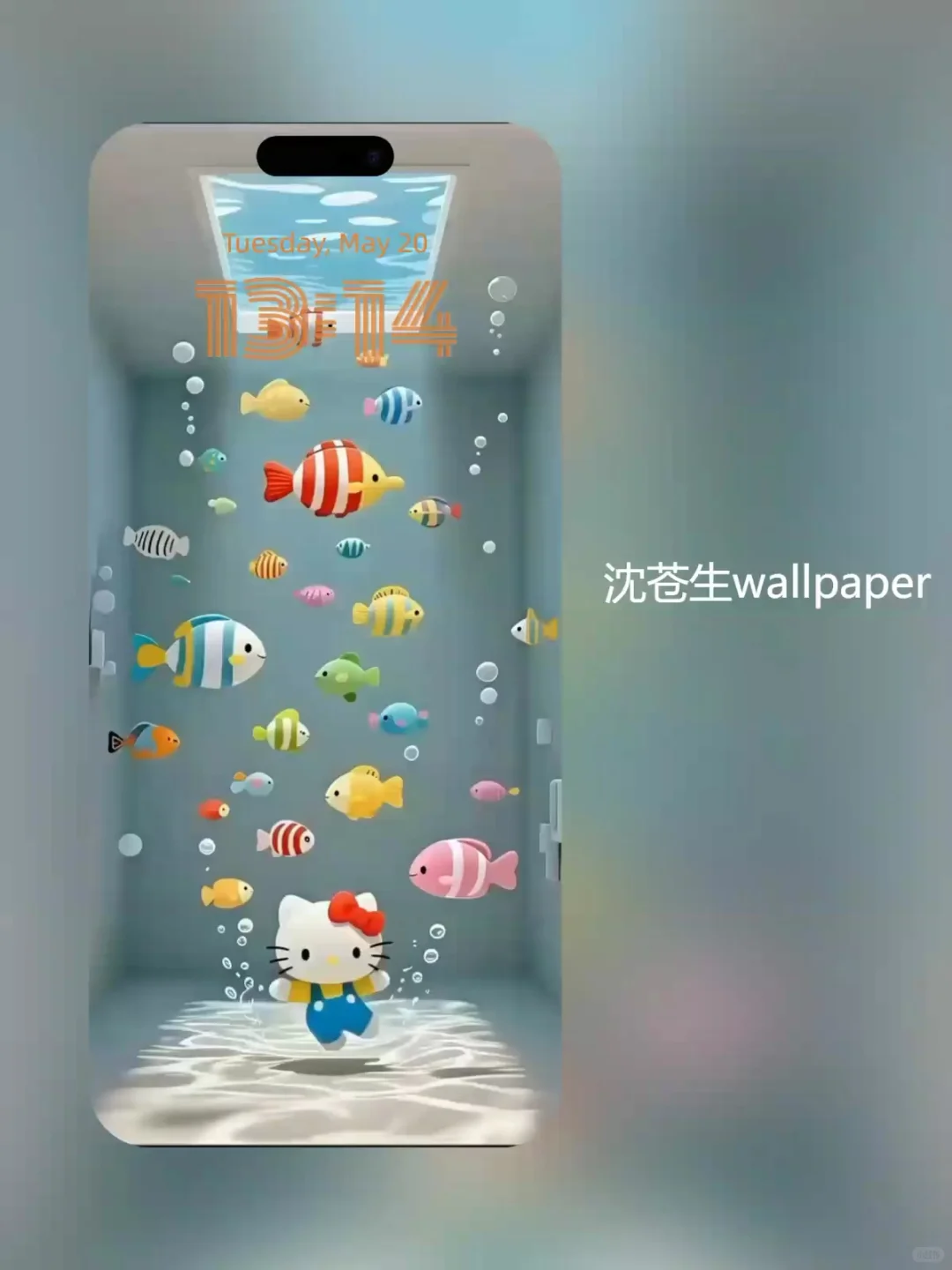 🧜‍♀️Hello Kitty金鱼壁纸｜这波海底治愈