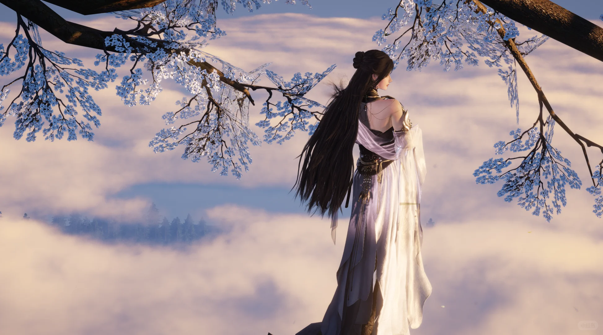 被燕云承包的桌面壁纸的300天