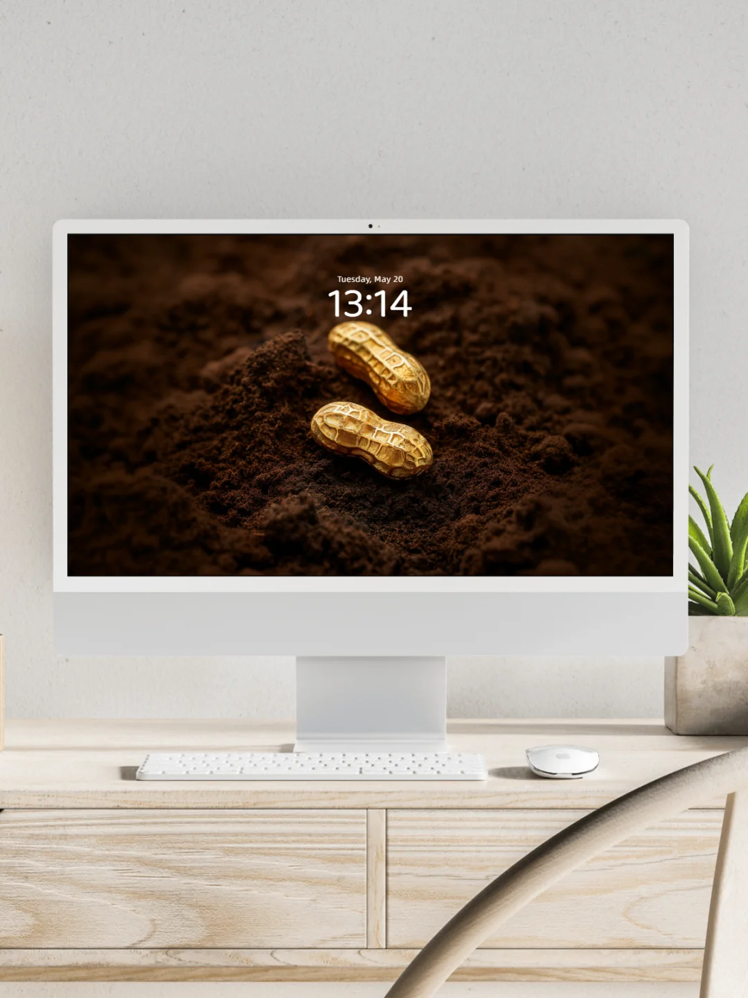 暴富壁纸 l 金色花生