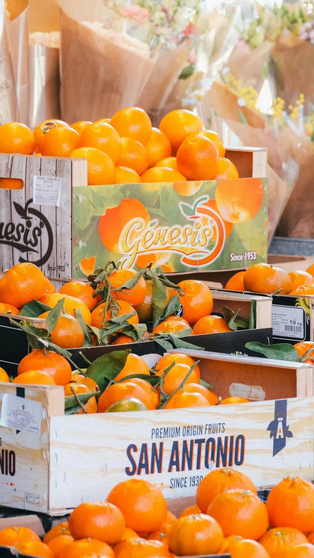 手机壁纸精选|暖色调（10/100）