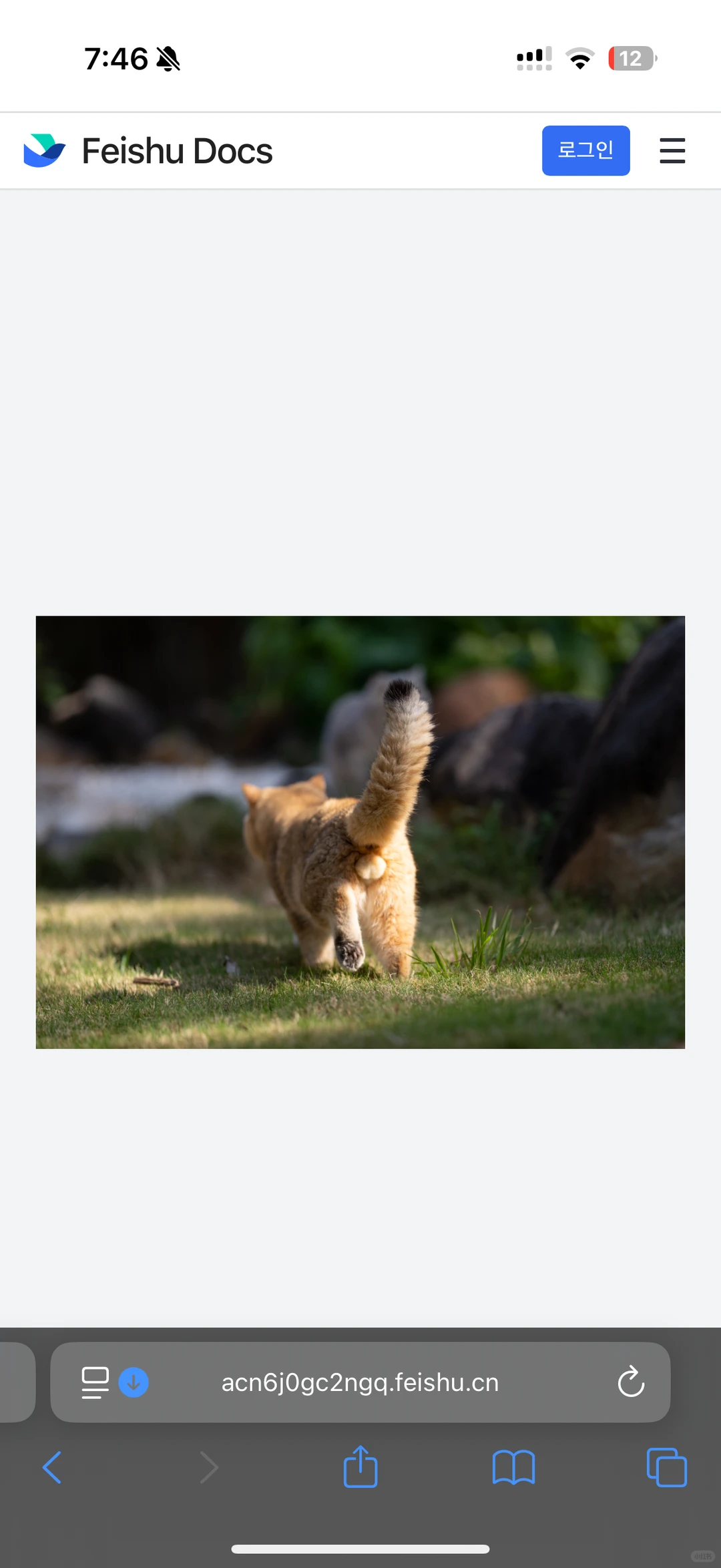 邓峰老师我请问呢？念妹电脑壁纸？