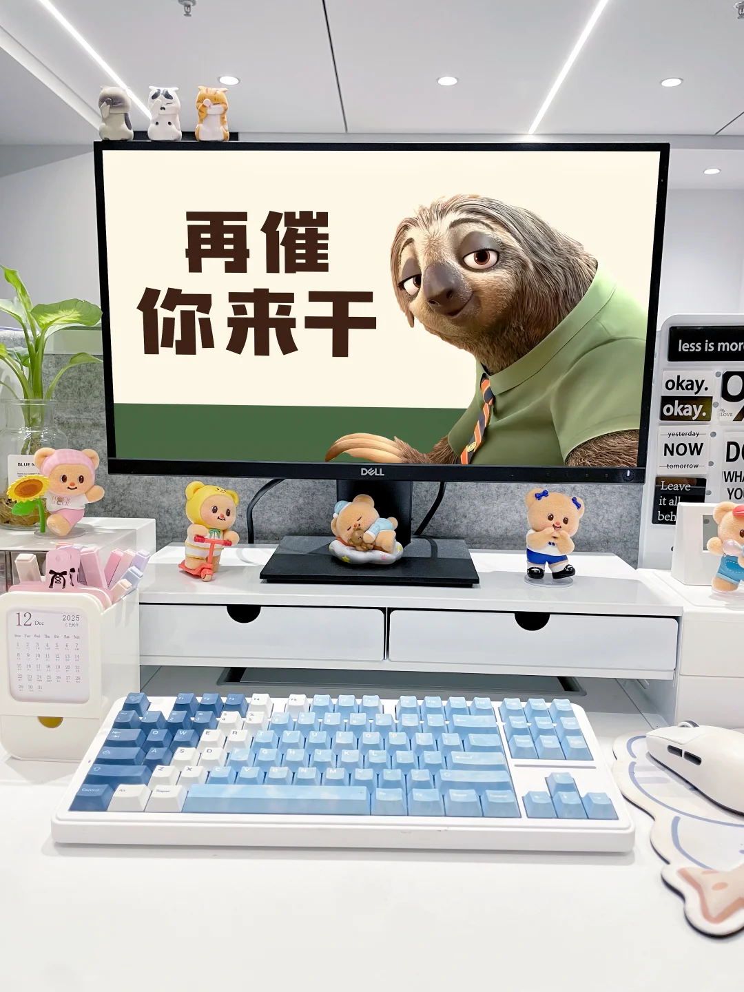 谁懂啊❗️把闪电和马市长设成电脑壁纸了