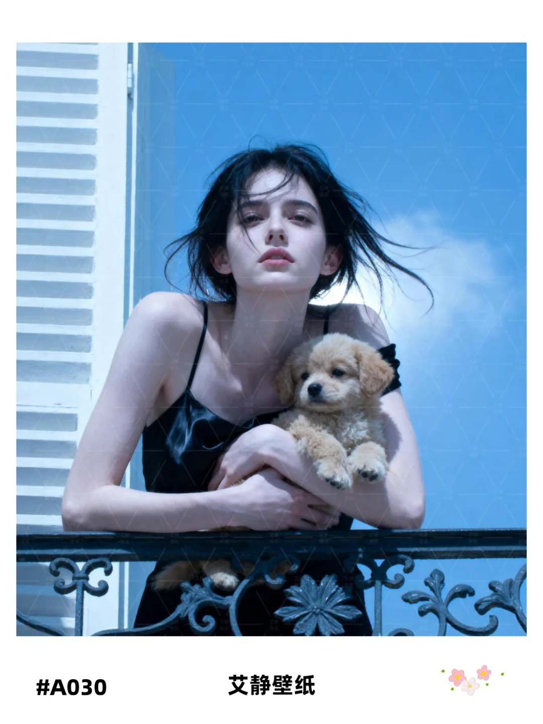 今日份超清壁纸来啦～