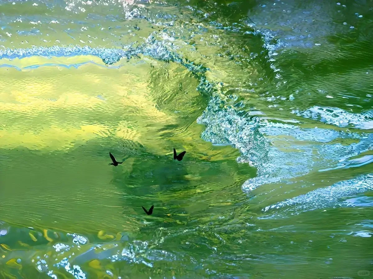 Share｜绿色护眼系列电脑壁纸