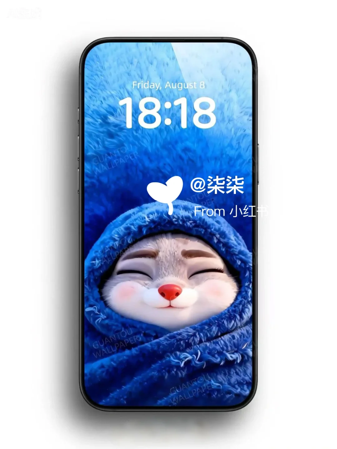 动态壁纸 | 裹着蓝色毛毯的小可爱