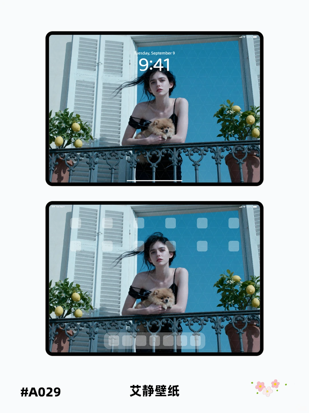 超清壁纸来啦～