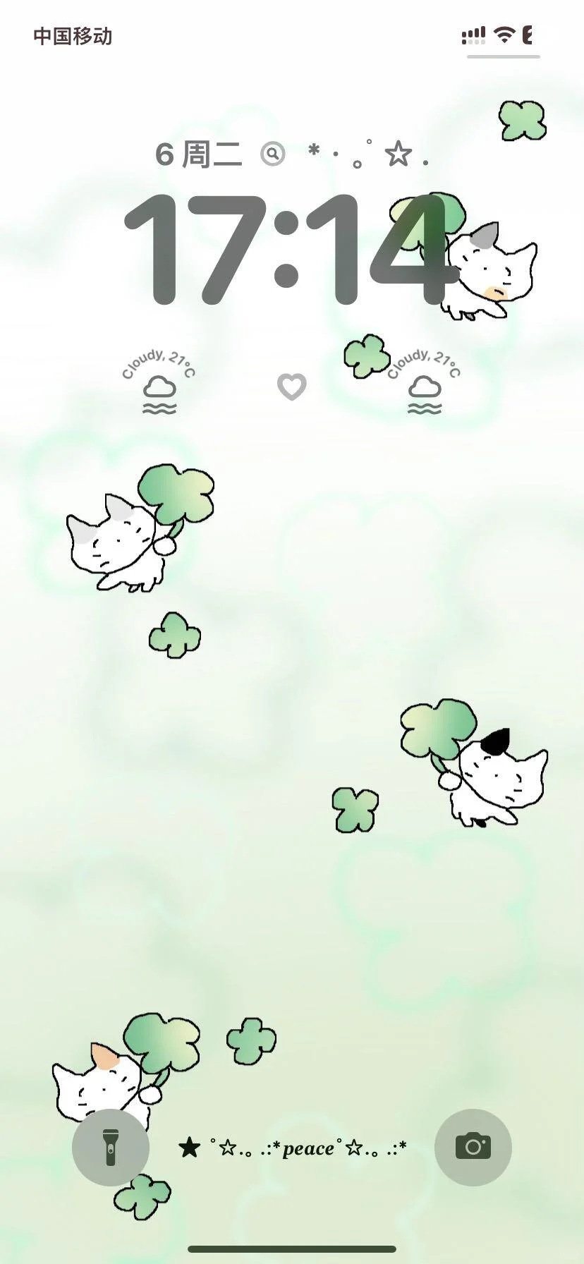 ‧₊˚☆ cute kitten˙ ϖ˙ ☆‧₊˚🩵🩵