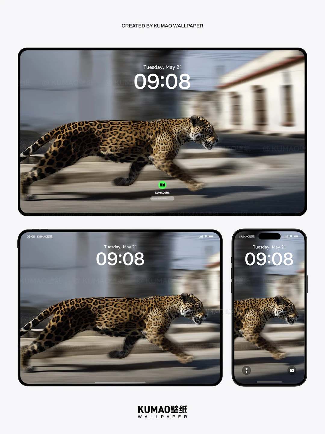 疾风豹影｜‌野性张力拉满到爆｜动物壁纸