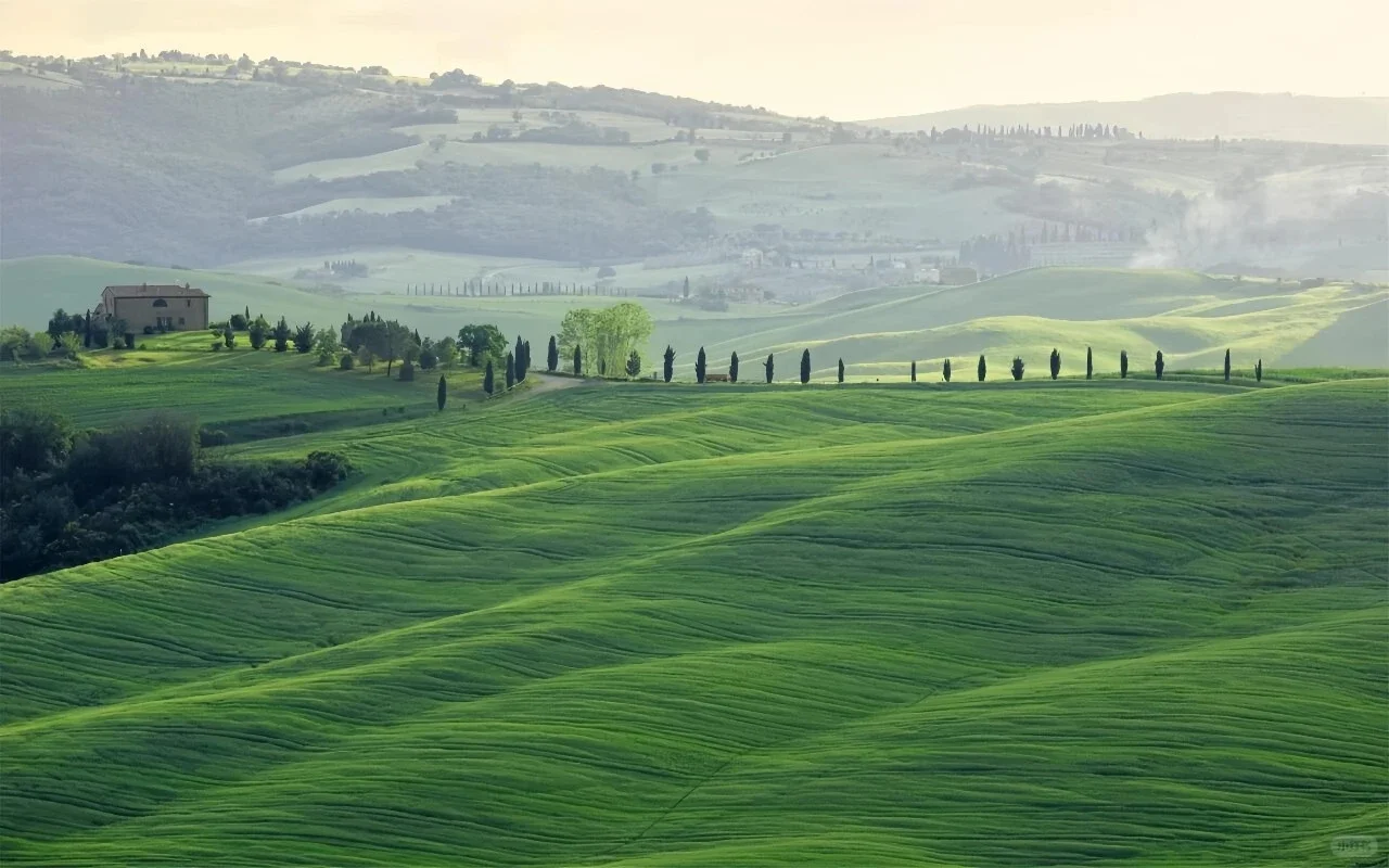 Share｜绿色护眼系列电脑壁纸