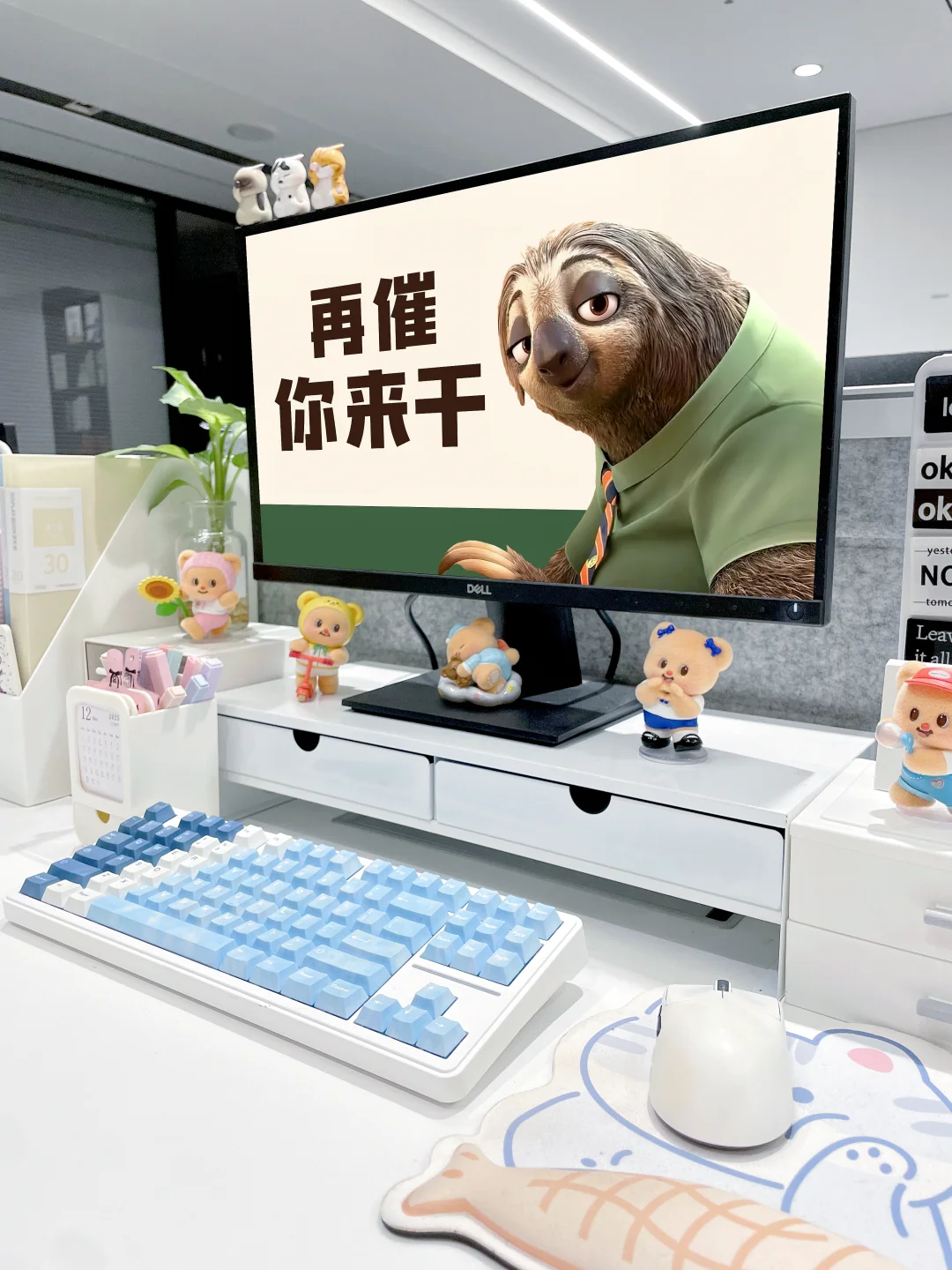 谁懂啊❗️把闪电和马市长设成电脑壁纸了