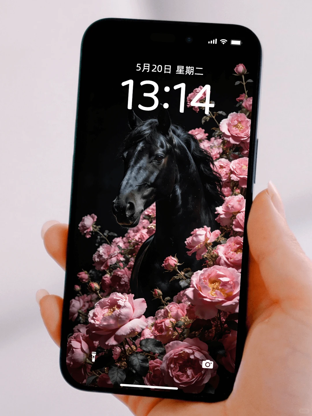 马年限定壁纸 一路生花🌸