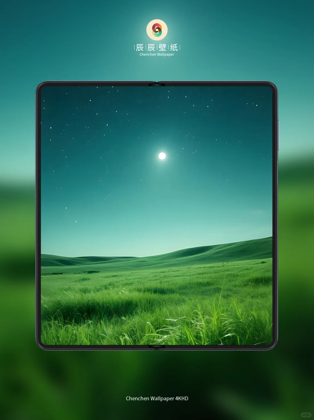 夜晚草原1625|一套电脑平板手机壁纸