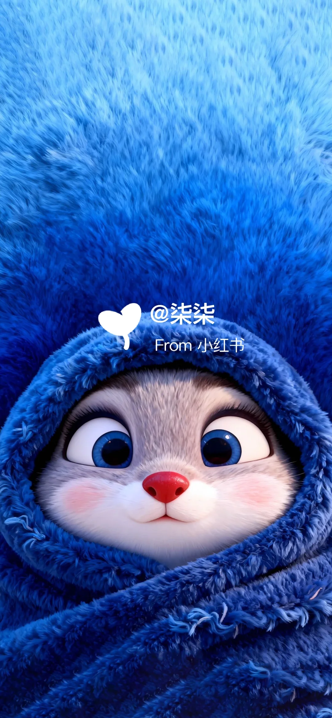 动态壁纸 | 裹着蓝色毛毯的小可爱