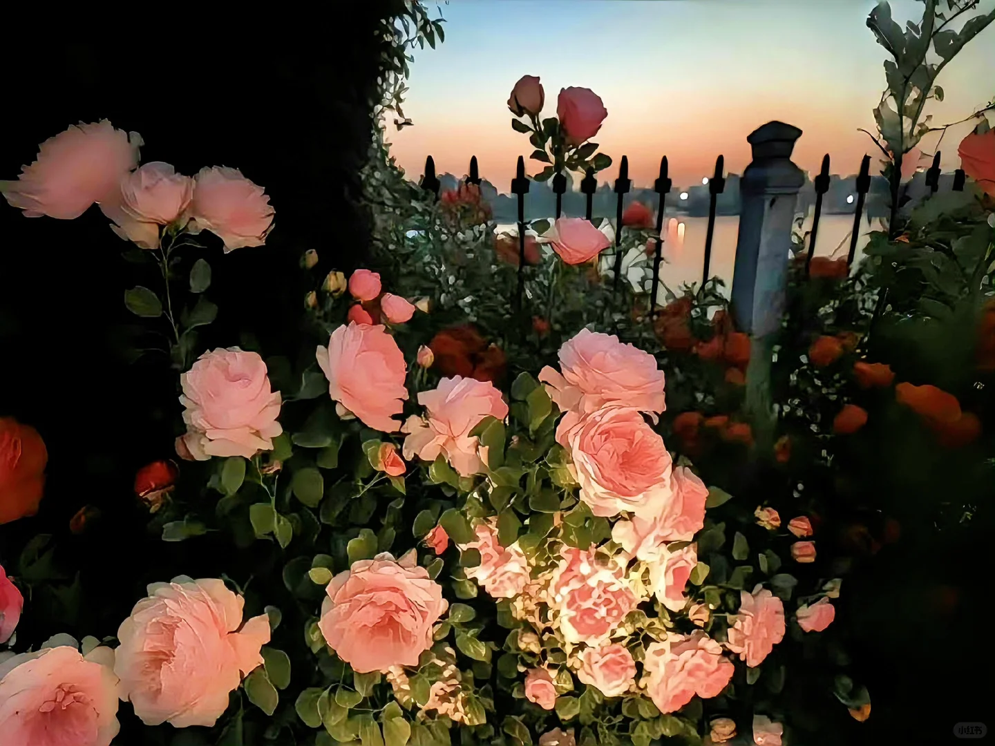 iPad·电脑壁纸｜一键开启美好🎋