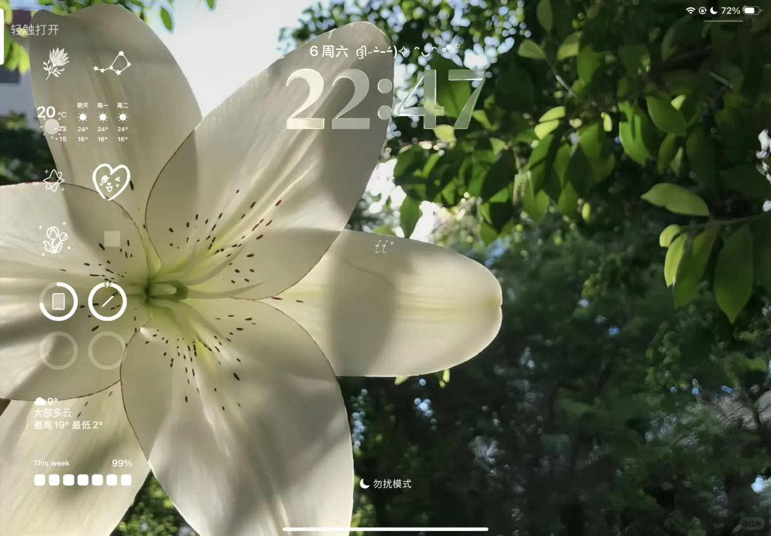 12.6好看的壁纸，一起来看看吧