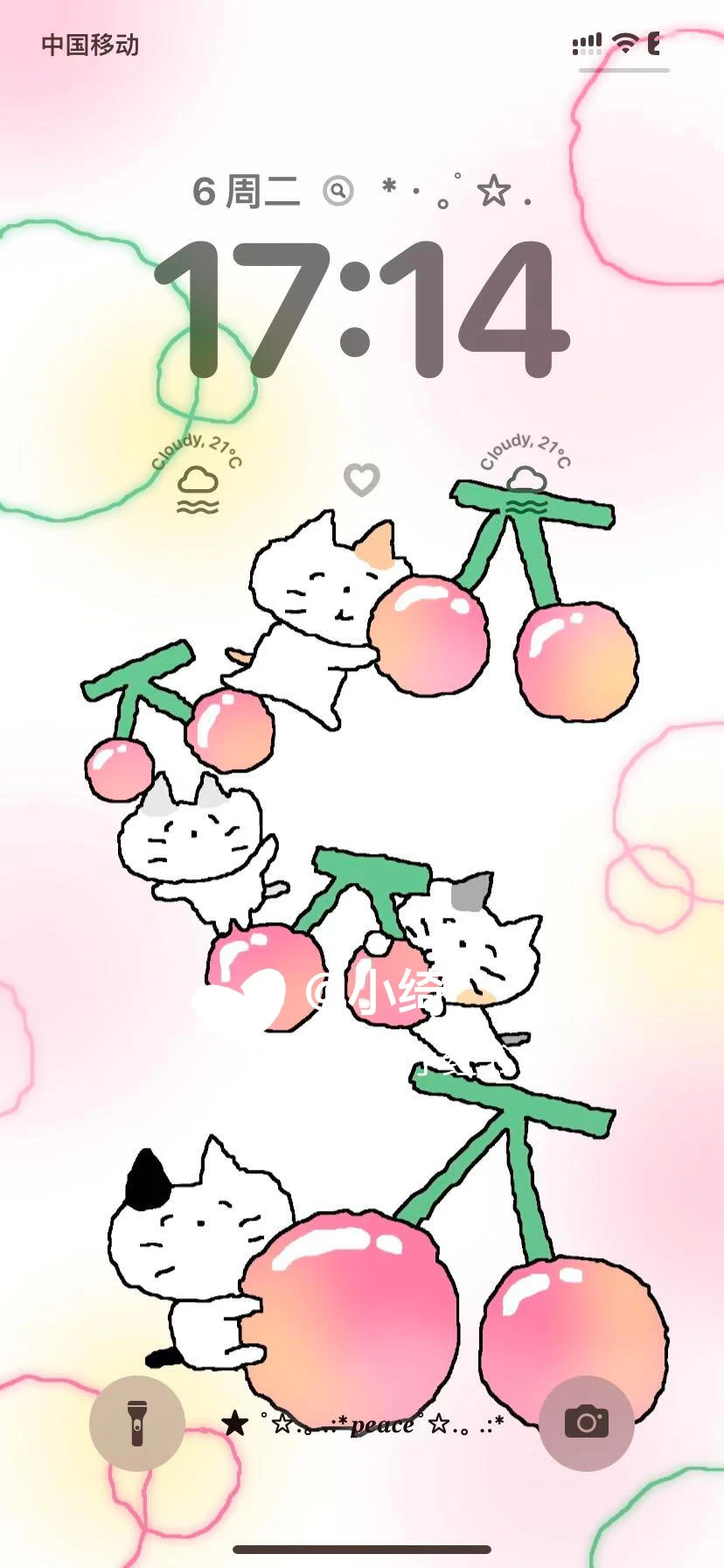 ‧₊˚☆ cute kitten˙ ϖ˙ ☆‧₊˚