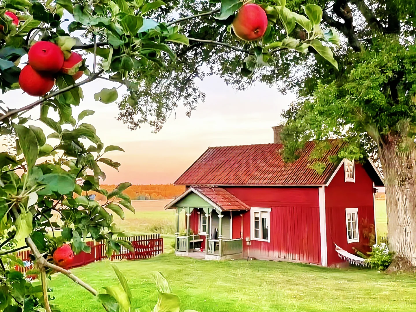 iPad·电脑壁纸｜一键开启美好🎋