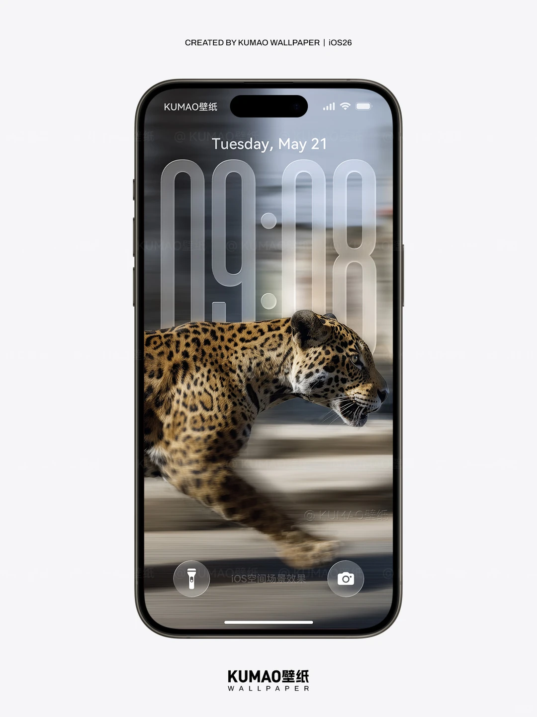 疾风豹影｜‌野性张力拉满到爆｜动物壁纸