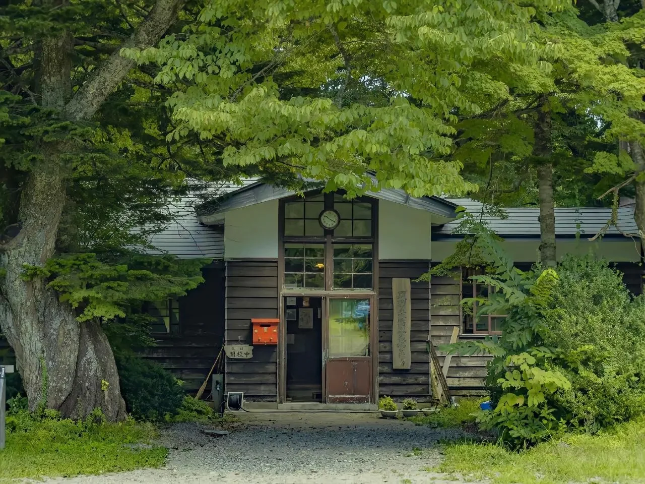 Share｜绿色护眼系列电脑壁纸