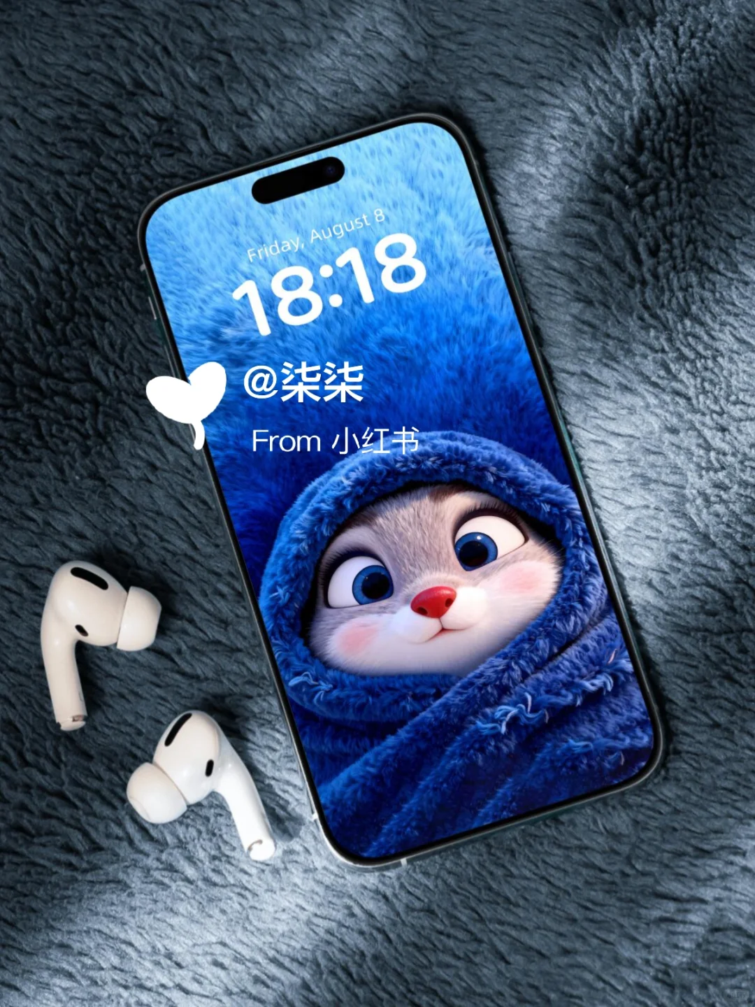 动态壁纸 | 裹着蓝色毛毯的小可爱