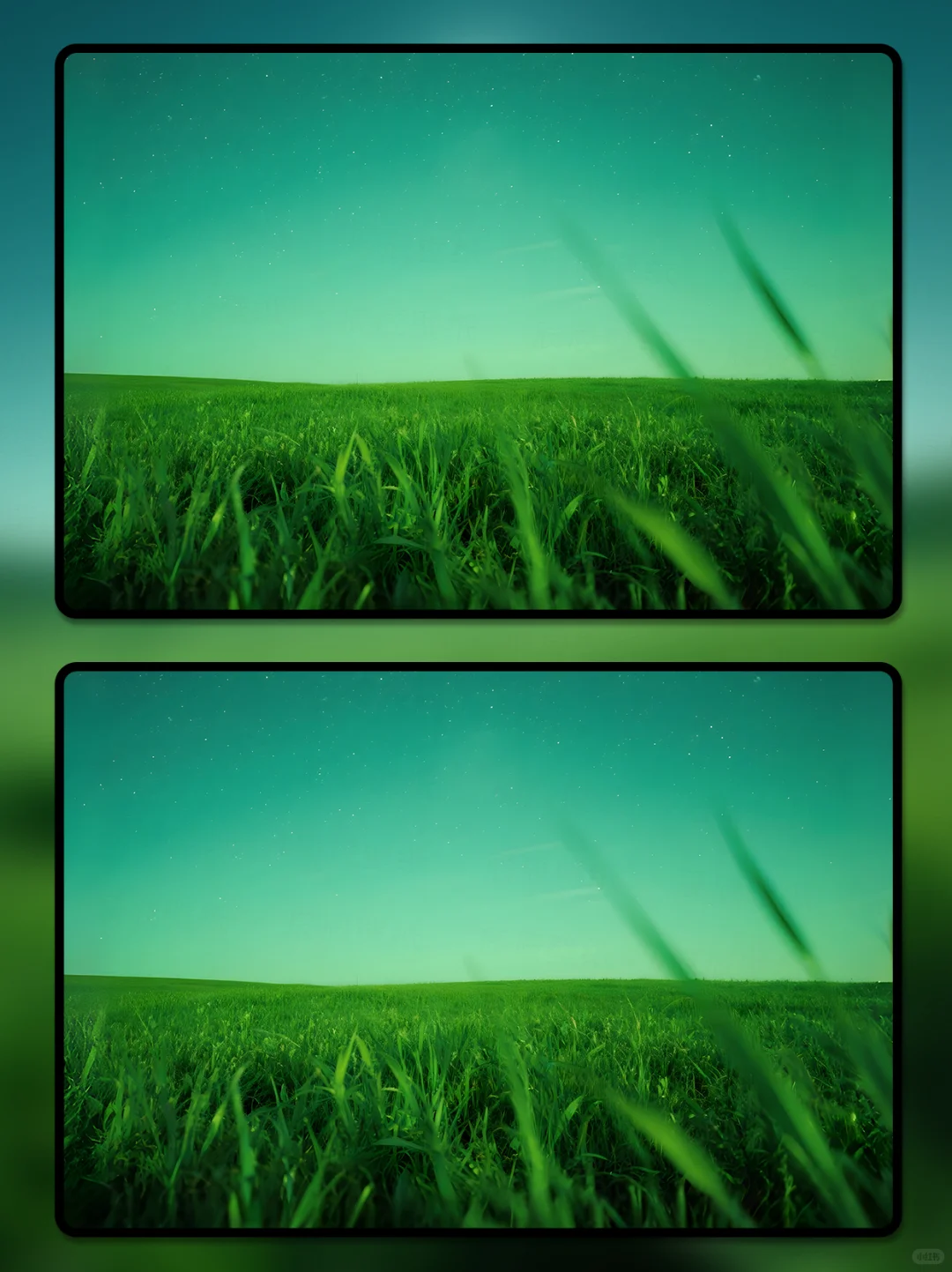 夜晚草原1625|一套电脑平板手机壁纸