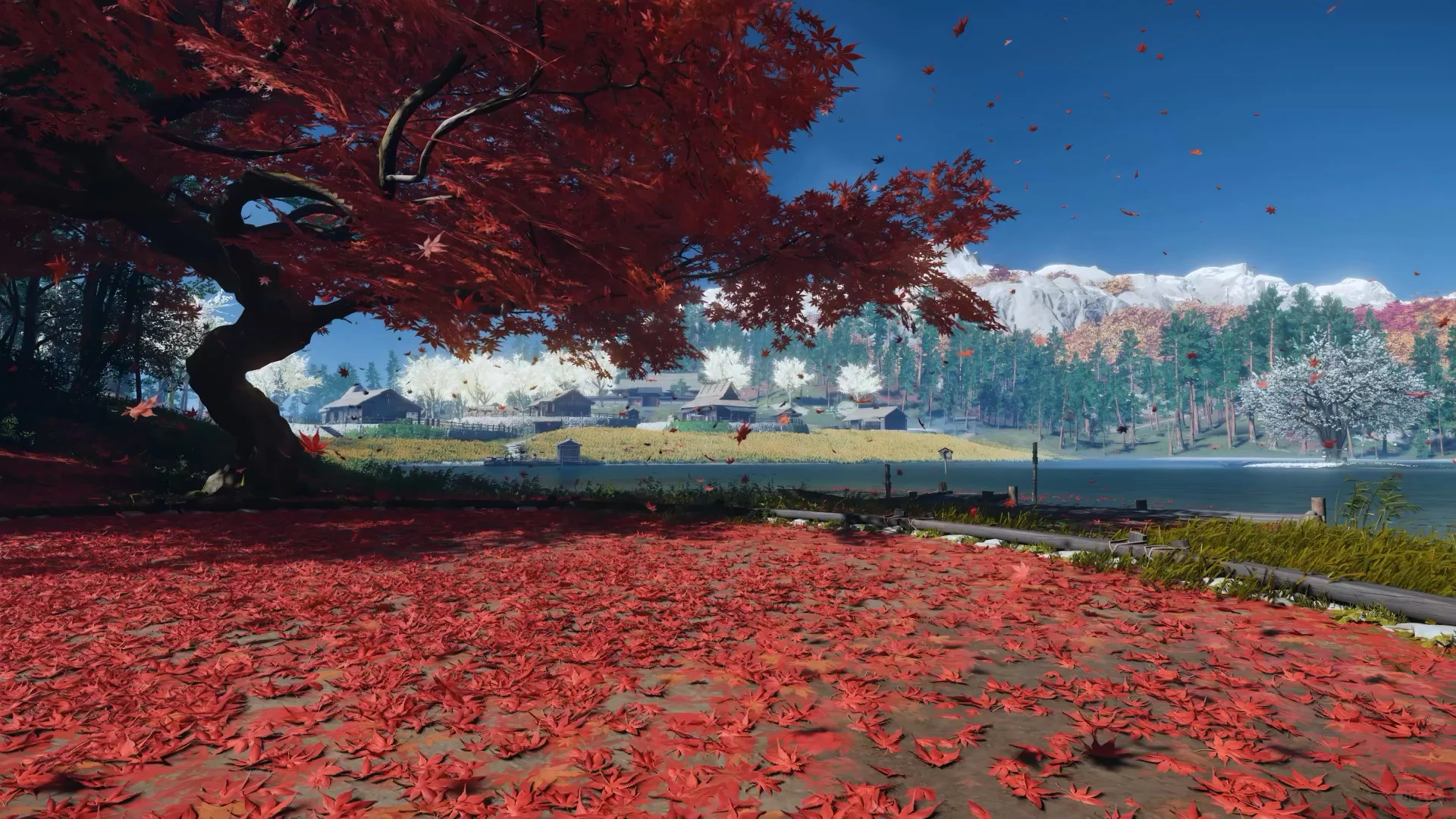 🌟034｜动态氛围感壁纸合集