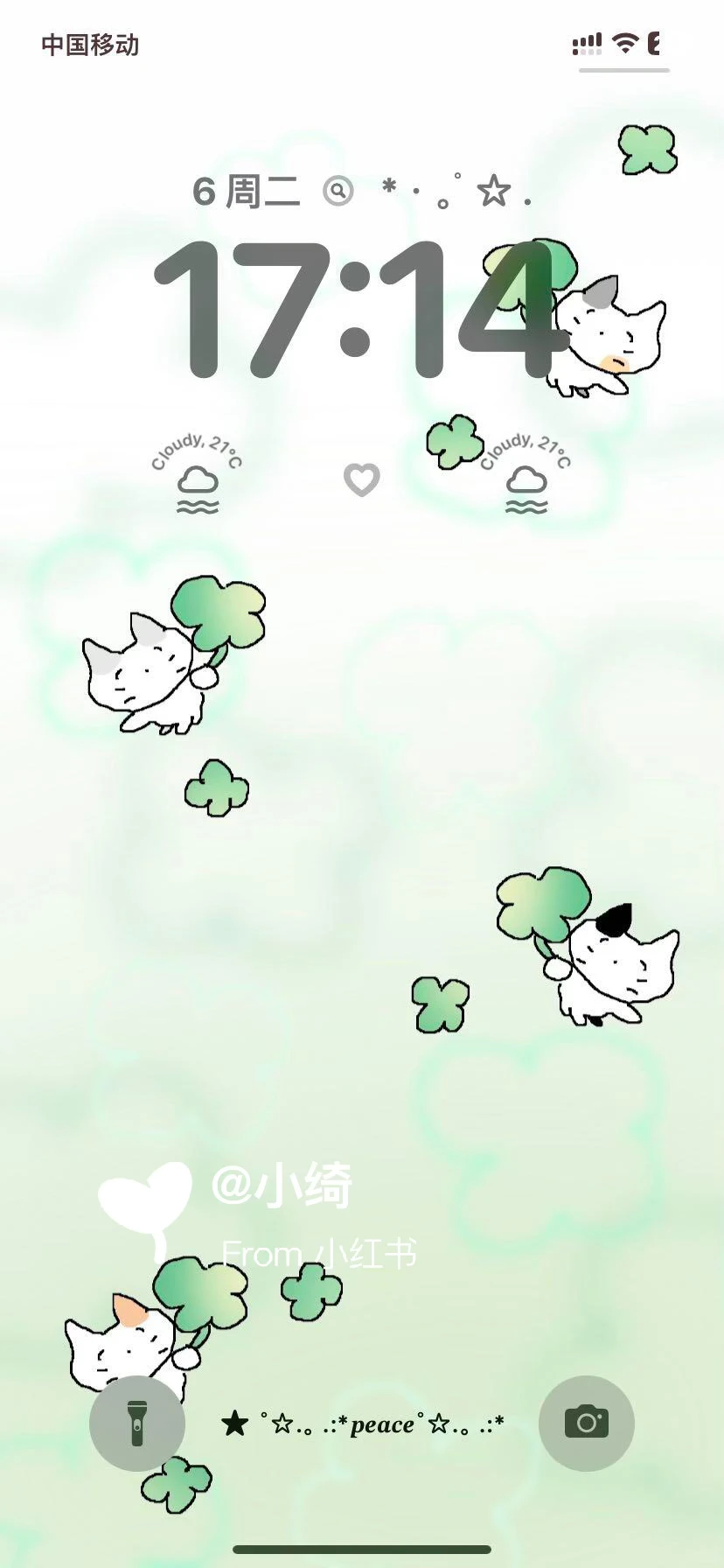 ‧₊˚☆ cute kitten˙ ϖ˙ ☆‧₊˚