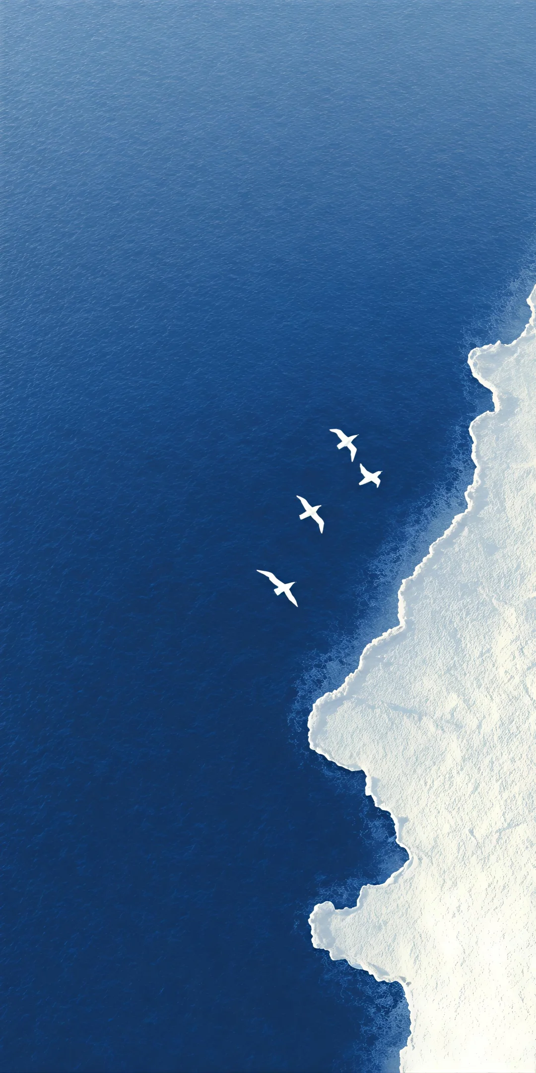 壁纸（296）海与海鸥