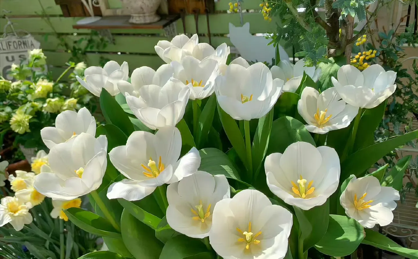 更新一组iPad壁纸