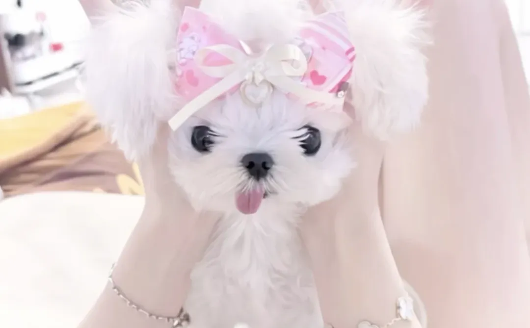 真的好喜欢这张壁纸！！！