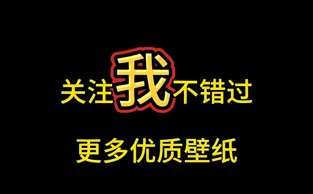 壁纸（296）海与海鸥