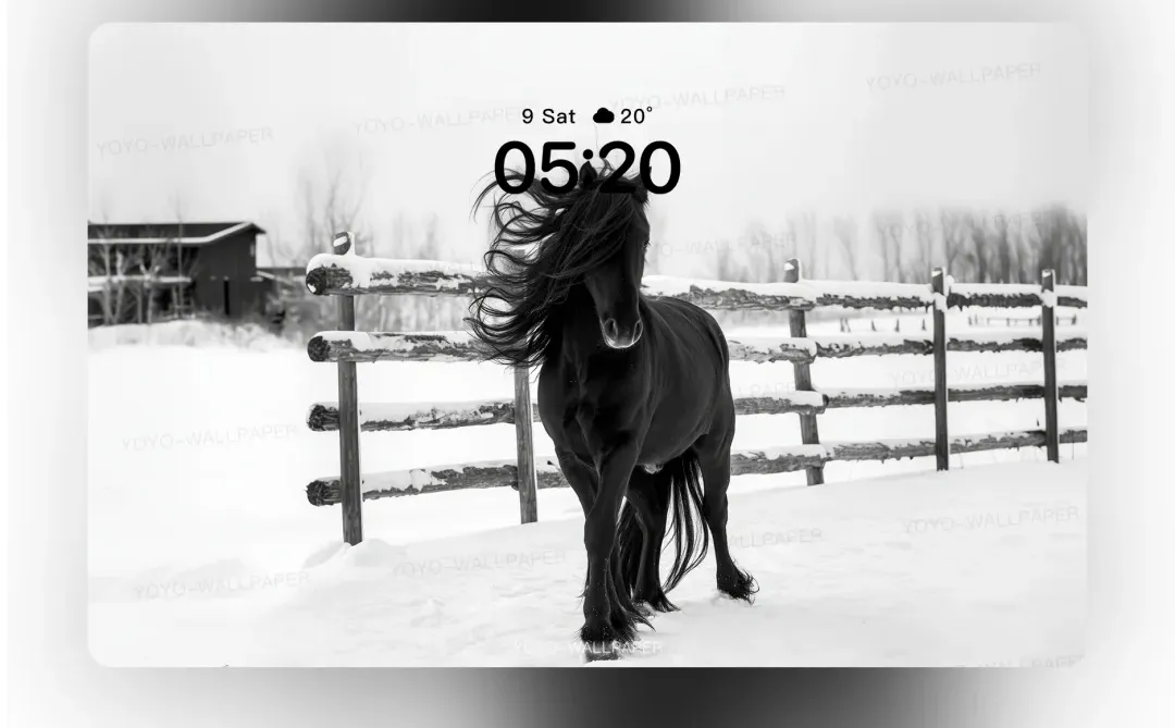 171 | ios景深壁纸 | 黑马踏雪❄️