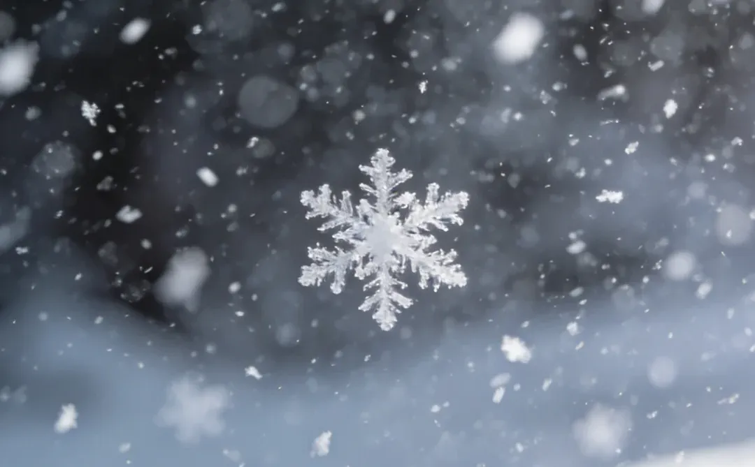 手机壁纸：飘雪