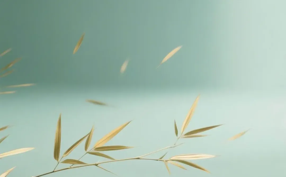 118｜手机壁纸分享｜竹影婆娑