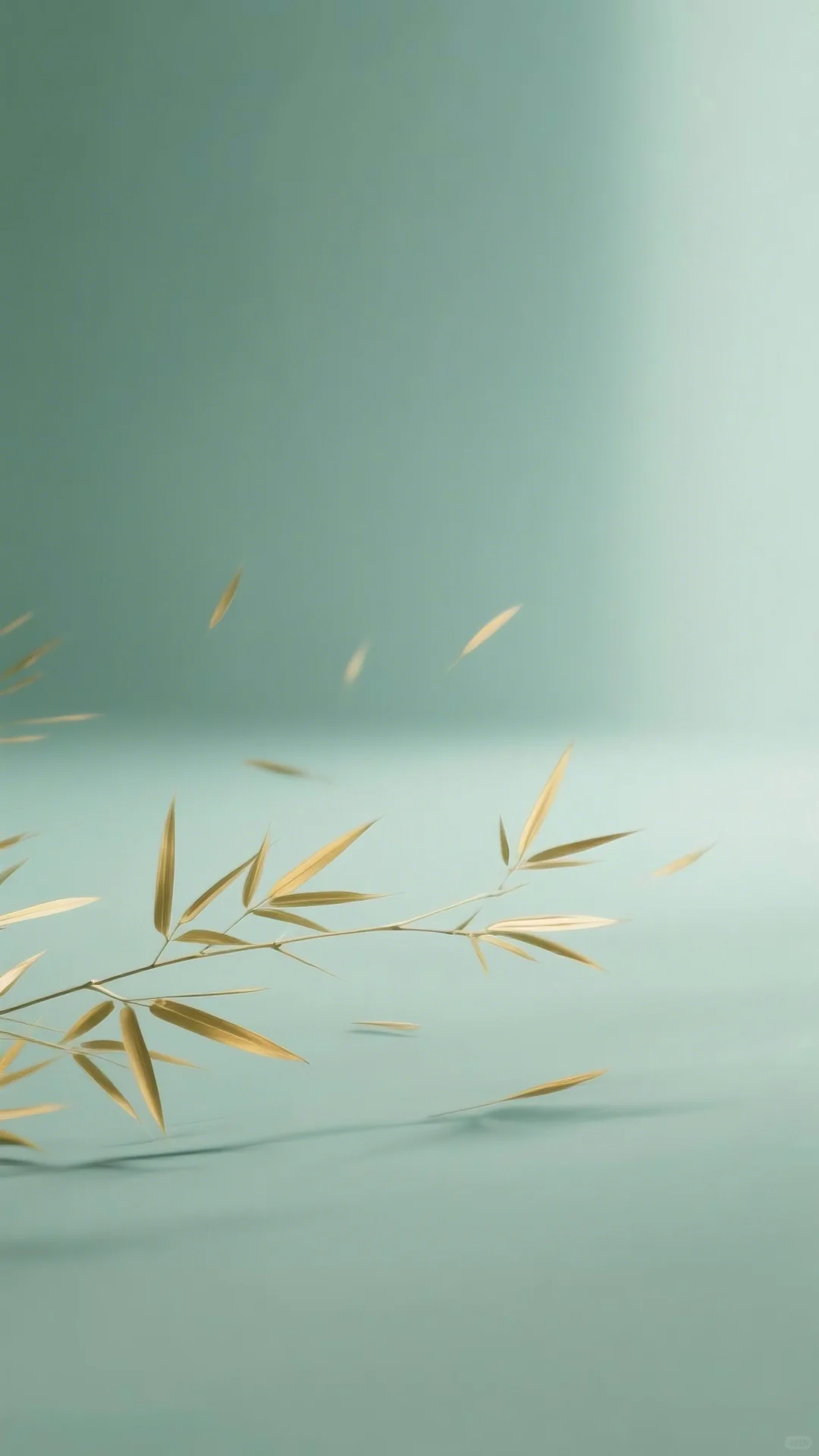 118｜手机壁纸分享｜竹影婆娑